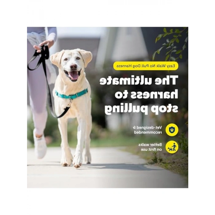 Çekmeyi Önleyen Ayarlanabilir Köpek Göğüs Tasması, Large, Sarımsı Turkuaz/Gri