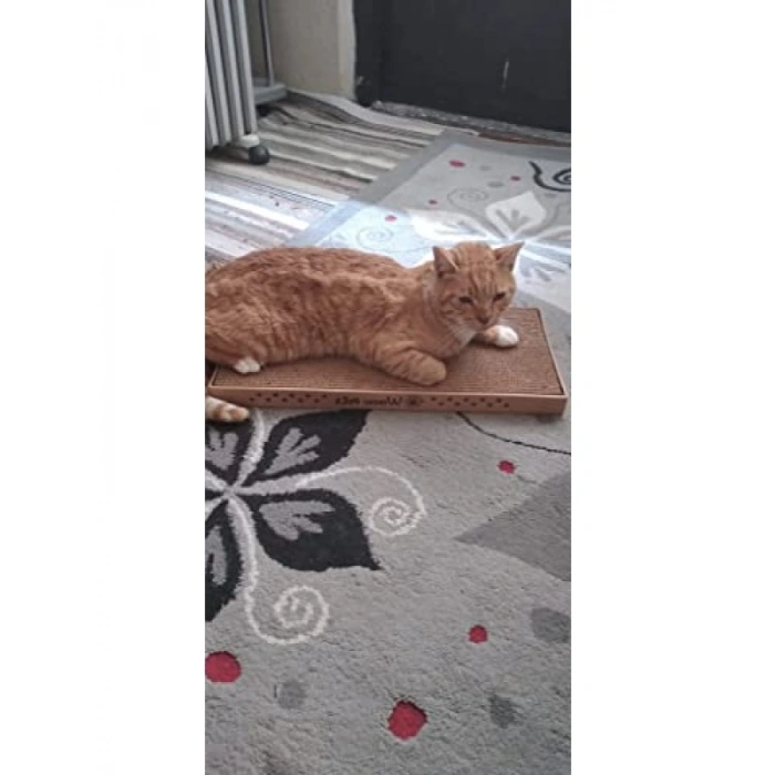 Çift Yönlü Oluklu Kedi Tırmalama Pedi ve Oyun Alanı - Kedi Otu ile