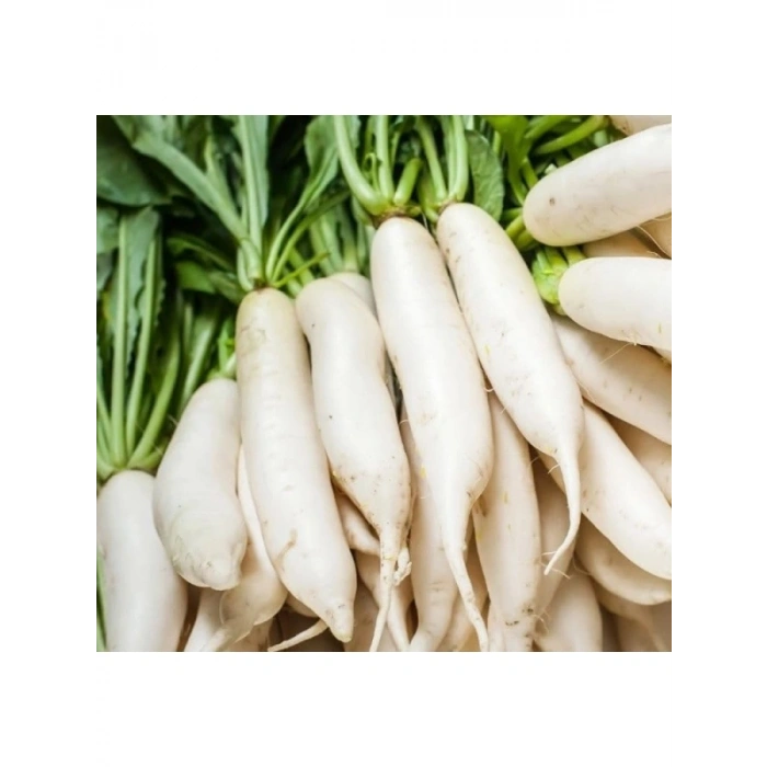 Çin Beyaz Turp Tohumu - 5 Gram