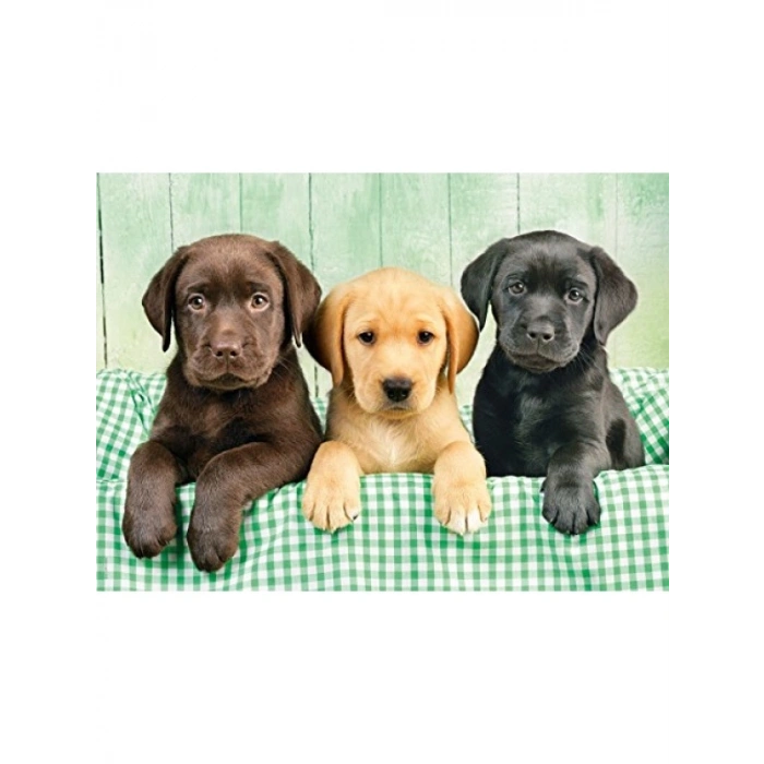 Clementoni - 1000 Parça HQ Collection Yetişkin Puzzle - Three Labs