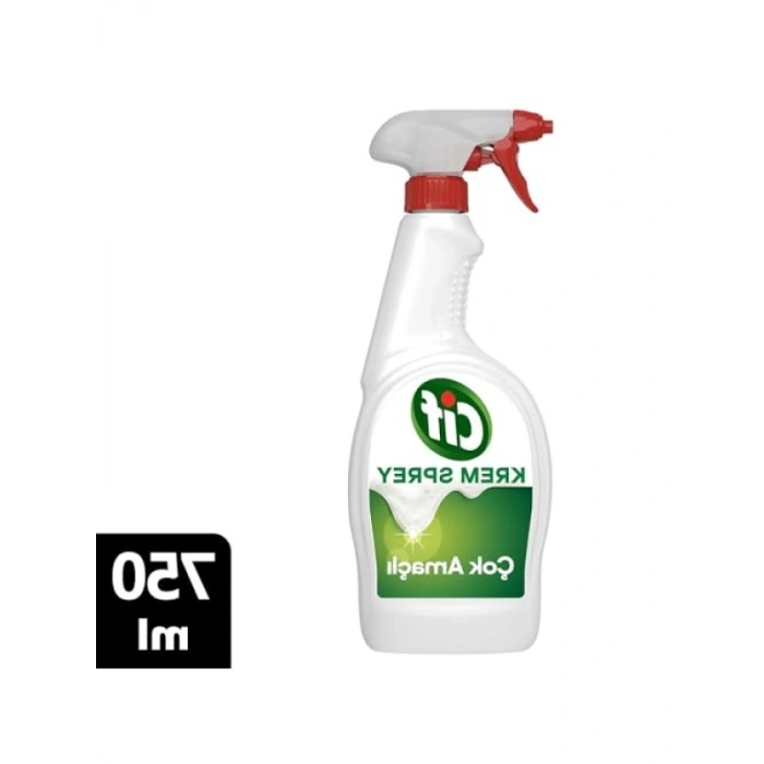 Çok Amaçlı Amonyak Yüzey Temizleyici - 750 ml