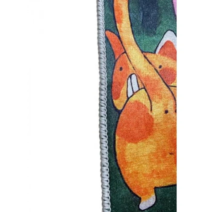 Çok Amaçlı Renkli Kedi Mama ve Su Altlığı