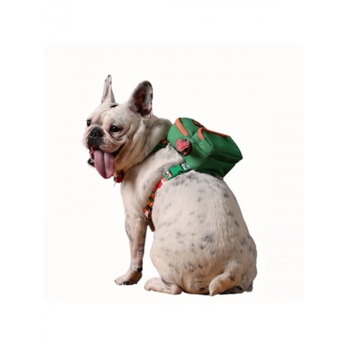 Çok Cepli Ayarlanabilir Köpek Göğüs Tasması - Geri Dönüştürülmüş Malzeme