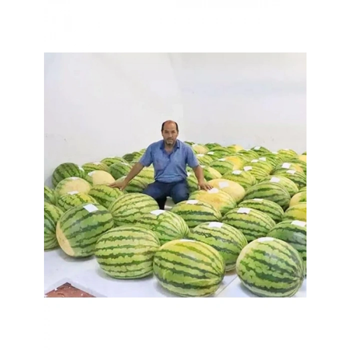Çoklu Tohum Diyarbakır Karpuzu - 5 Gram