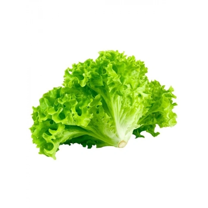 Çoklu Tohum Kıvırcık Marul - 5 Gram