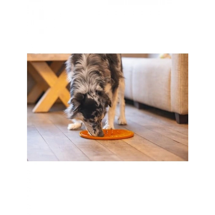 Daire Şeklinde Silikon Yavru Köpek Mama Yeme Oyuncağı, 30 cm