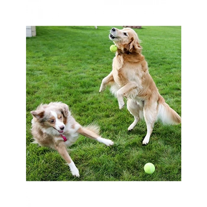 Dayanıklı Kauçuk Tenis Topu - Büyük Boy - Diş Dostu Yüzey