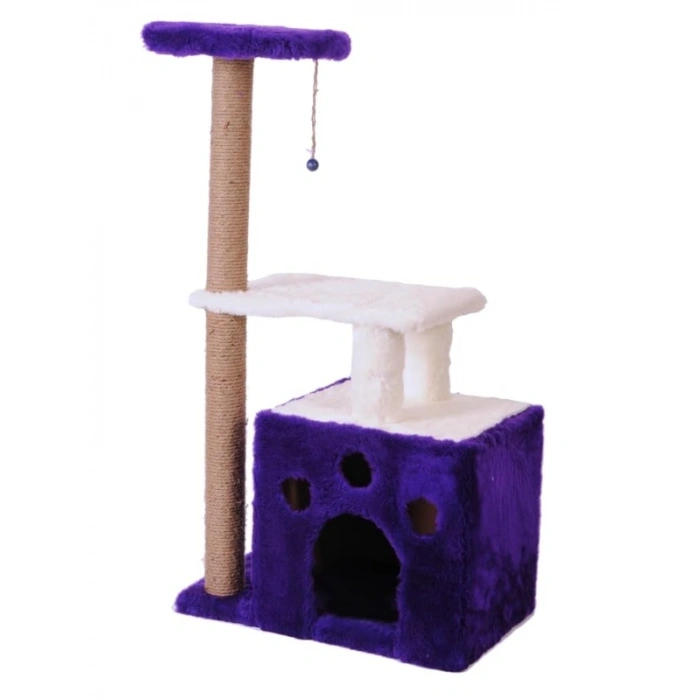 Dayanıklı Kedi Tırmalama, Gordion Modeli, Mor