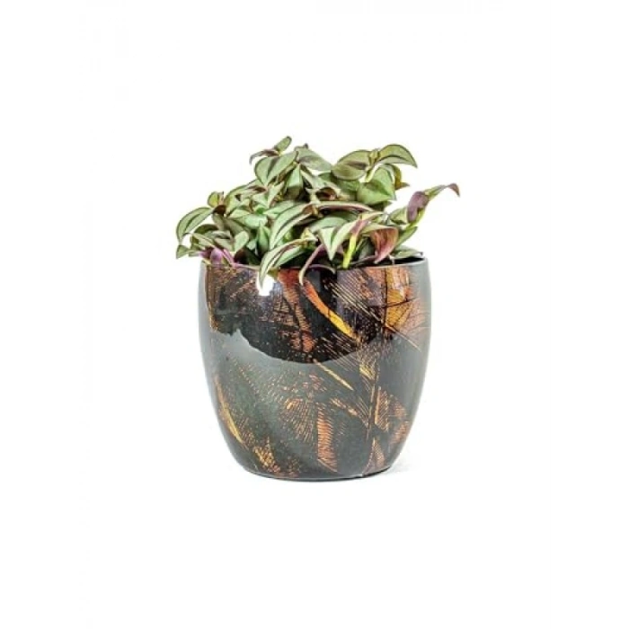Dayanıklı Siyah Metal Saksı - 17x15 cm