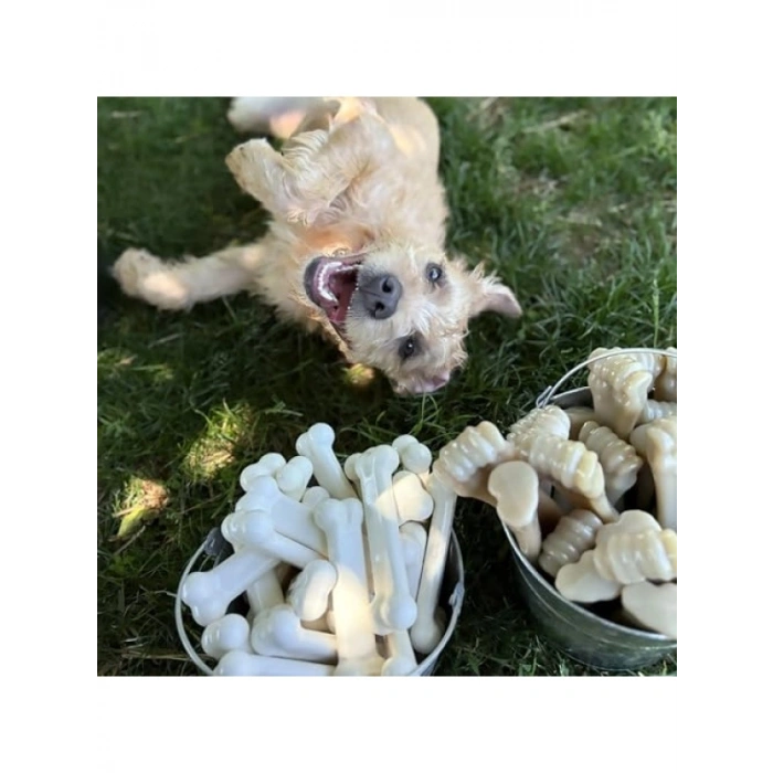 Dayanıklı Tavuk Aromalı Köpek Çiğneme Kemiği M Boy