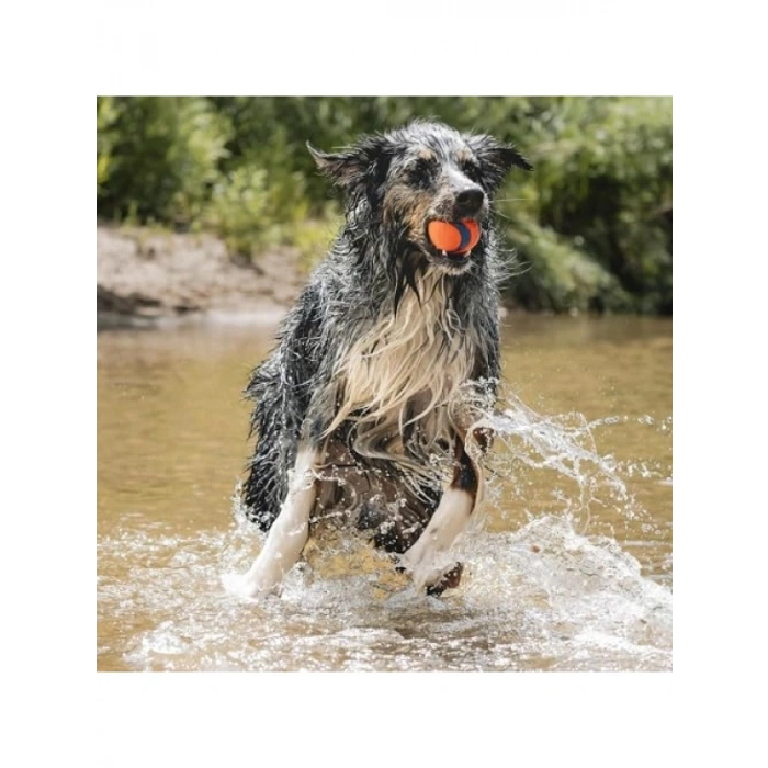 Dayanıklı ve Suda Yüzebilen Büyük Boy Köpek Topu