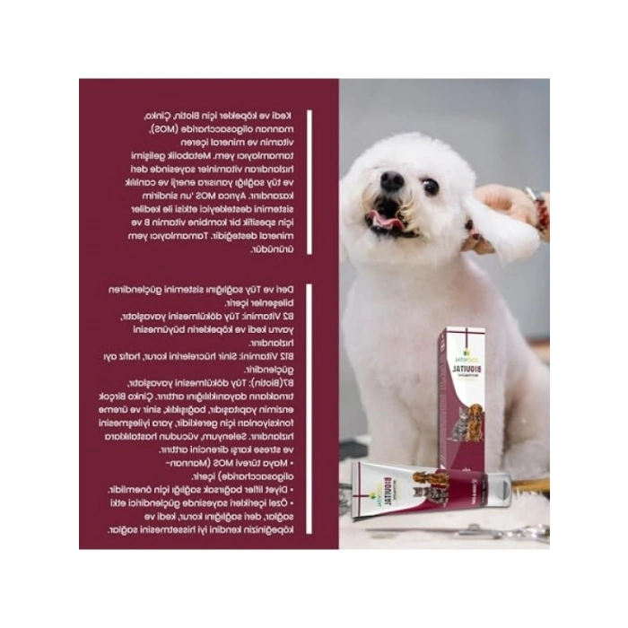 Deri ve Tüy Sağlığı için Biotin ve Çinko Takviyeli Vitamin Macunu 100G