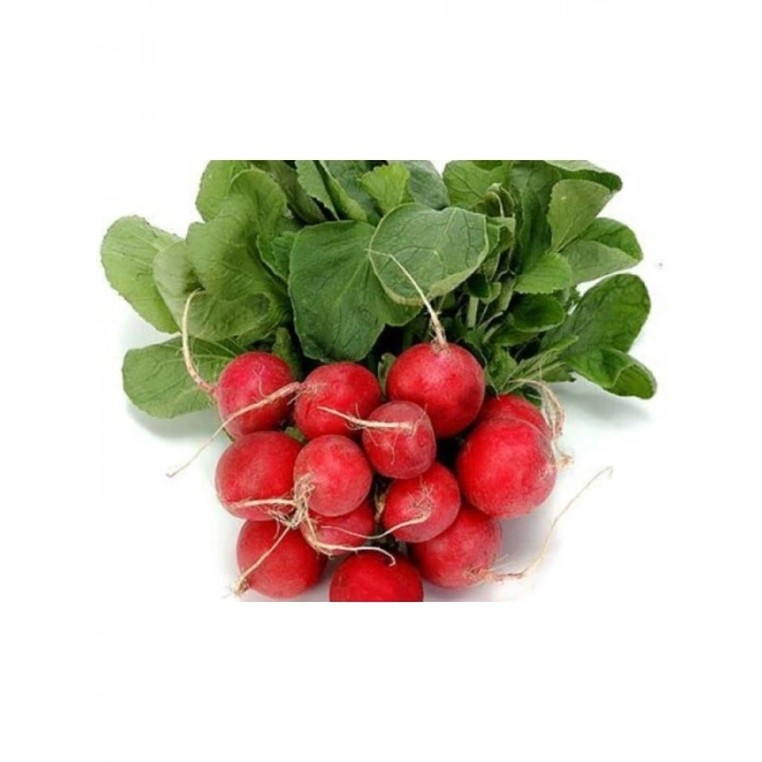 Doğal Cherry Turp Tohumu - 10 Adet