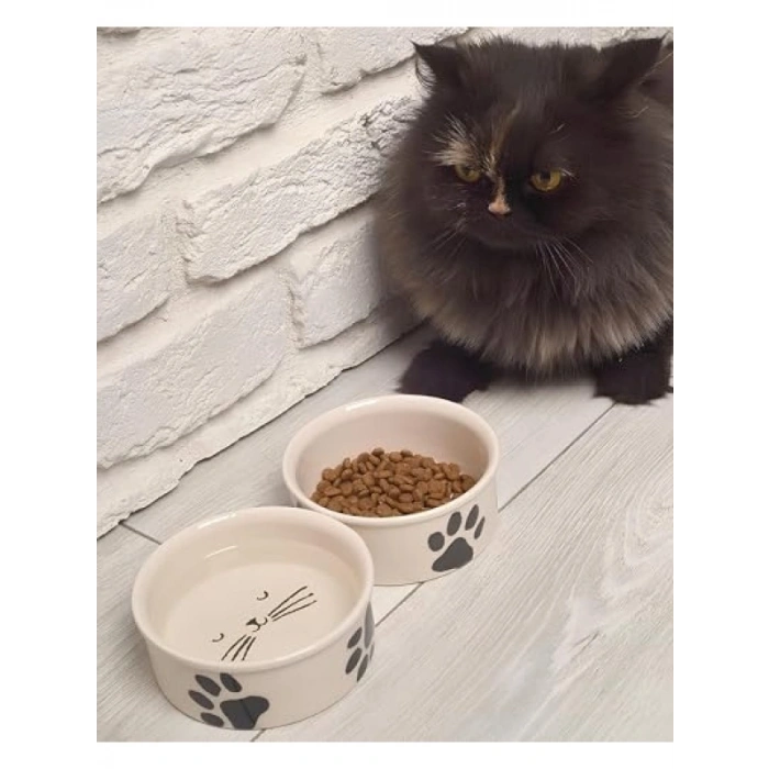 Doğal Hijyenik Seramik Kedi Mama ve Su Kabı Seti (2 Adet)