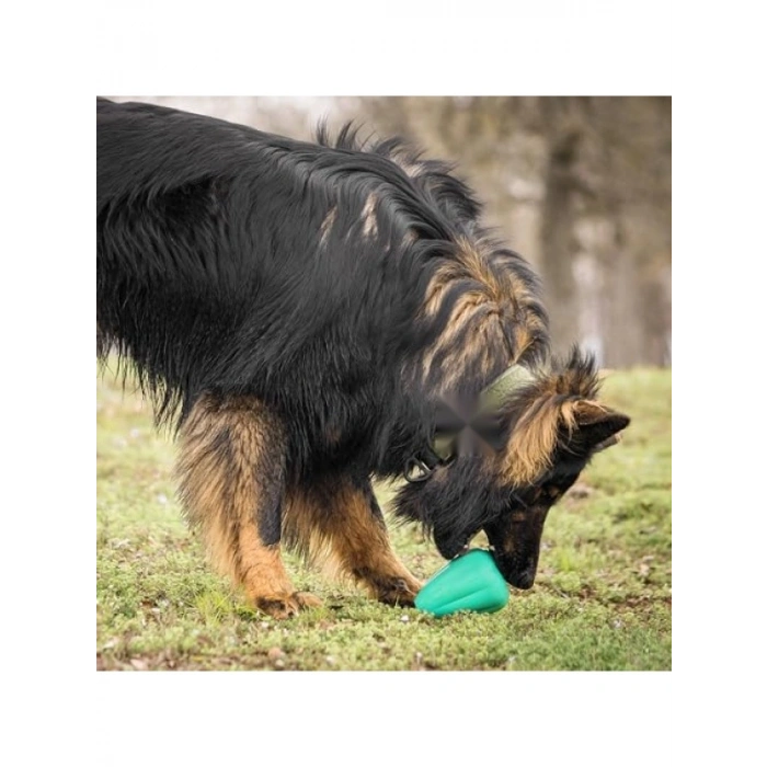 Doğal Kauçuk Malzemeden Üretilmiş XL Boy Köpek Oyuncağı - 2li Paket