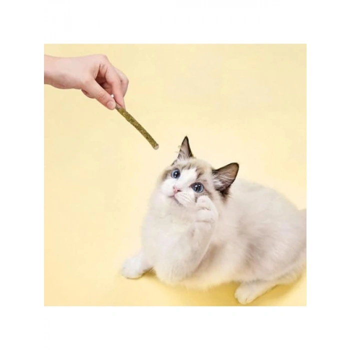 Doğal Kedi Otu Diş Bakım Çubuğu - 6lı Paket