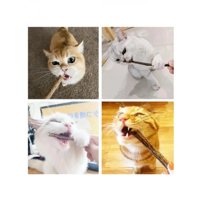 Doğal Matatabi Kedi Çiğneme Çubukları - 5 Adet, 15 mm Kalınlık