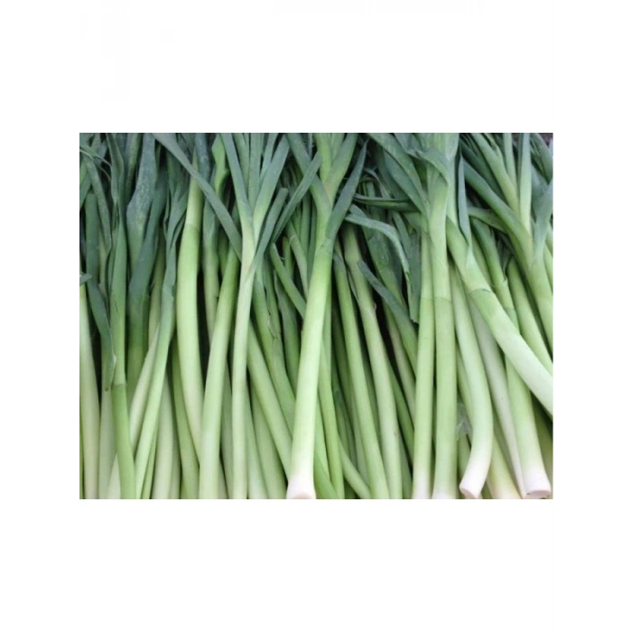 Doğal Pırasa Tohumu - 10 Gr