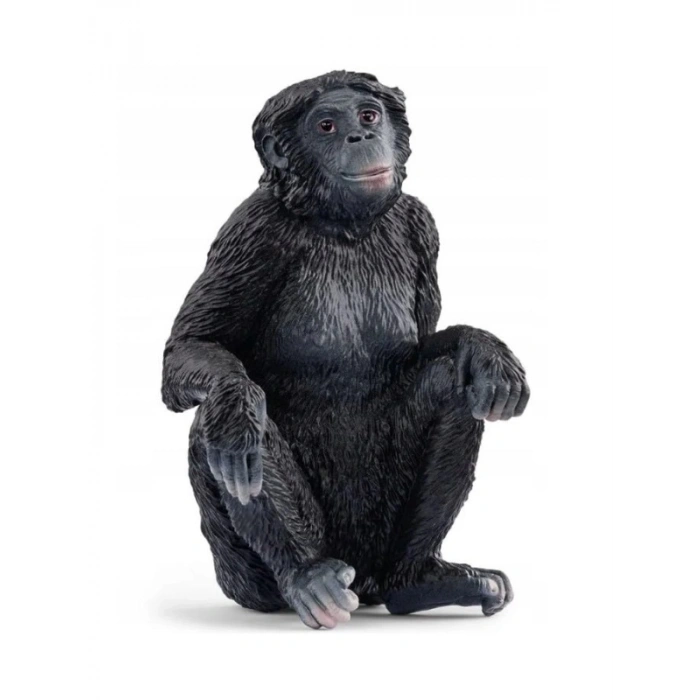 Doğayı Keşfet: Bonobo Figürü