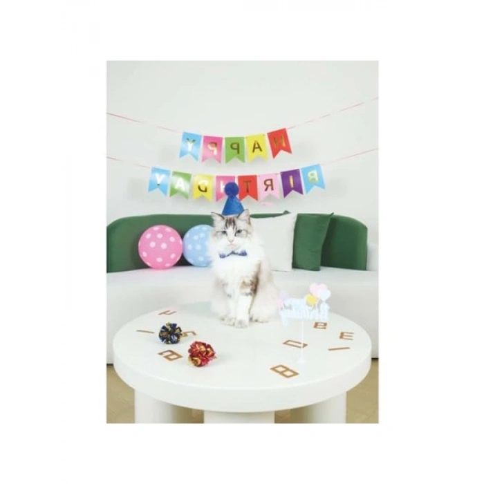 Doğum Günü Kutlaması için Kedi Seti