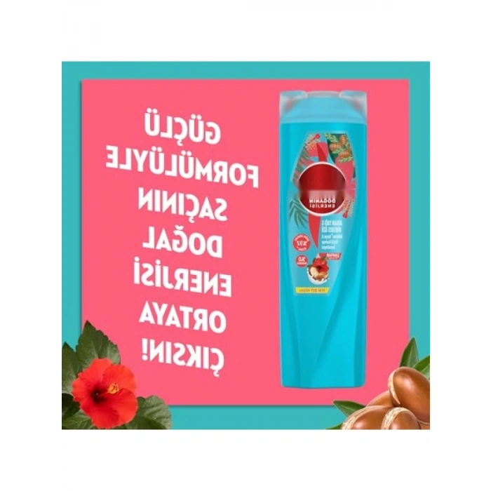 Dökülme Karşıtı Saç Bakım Şampuanı - Argan Yağı ve Hibiskus 400ml