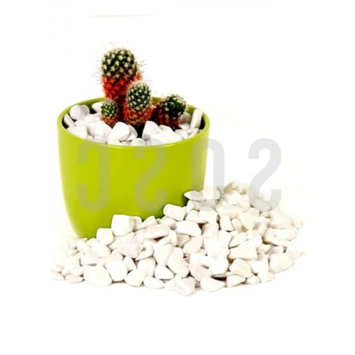 Dolomit Taşı Bahçe Süsleri - Beyaz Çakıl Taşı, 1-2 cm, 3 Kg