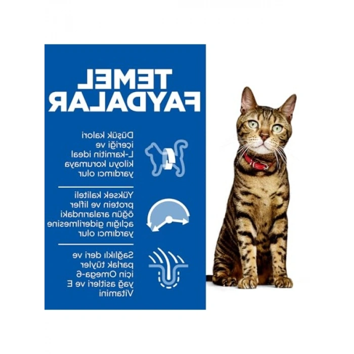 Düşük Aktiviteli Yetişkin Kedi Maması, Tavuklu, 3 kg