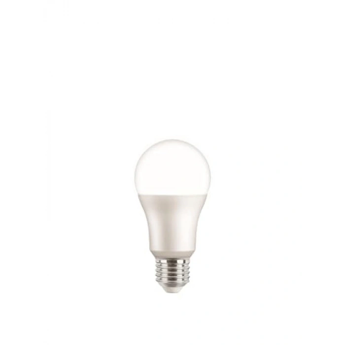 E27 Duy ile 6500K Beyaz Işık LED Ampul