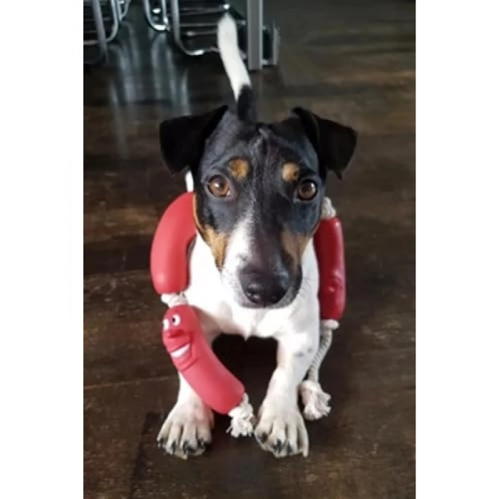 Eğlenceli Sosis Şeklinde Köpek Oyuncağı