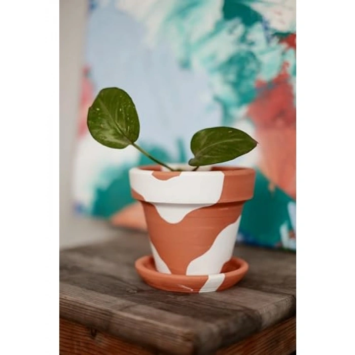 El Yapımı Terracotta Konik Saksı + Tabak - Bohem Beyaz (Küçük)