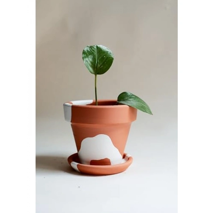 El Yapımı Terracotta Konik Saksı + Tabak - Bohem Beyaz (Küçük)