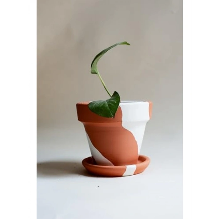 El Yapımı Terracotta Konik Saksı + Tabak - Bohem Beyaz (Küçük)