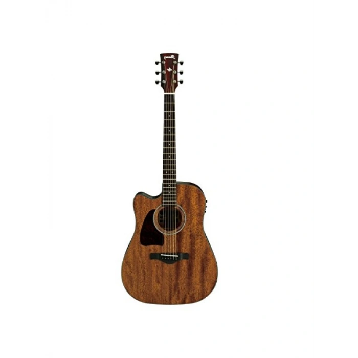 Elektro Akustik Gitar - Artwood Serisi