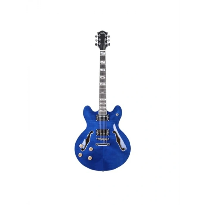 Elektro Gitar Modeli SEG-272TBL