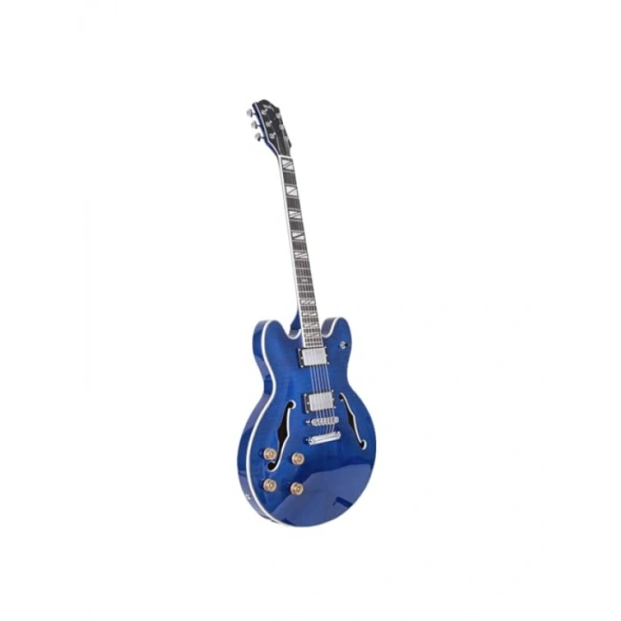 Elektro Gitar Modeli SEG-272TBL