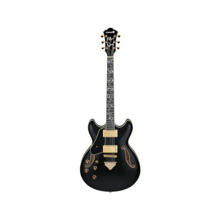 Elektro Gitar - Üst Düzey Ses Kalitesi