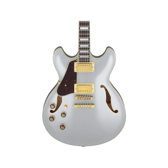Elektro Gitar - Yüksek Kaliteli Ses ve Tasarım
