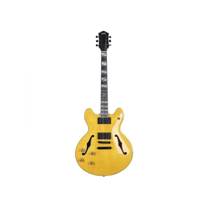 Elektro Gitar - Yüksek Ses Kalitesi