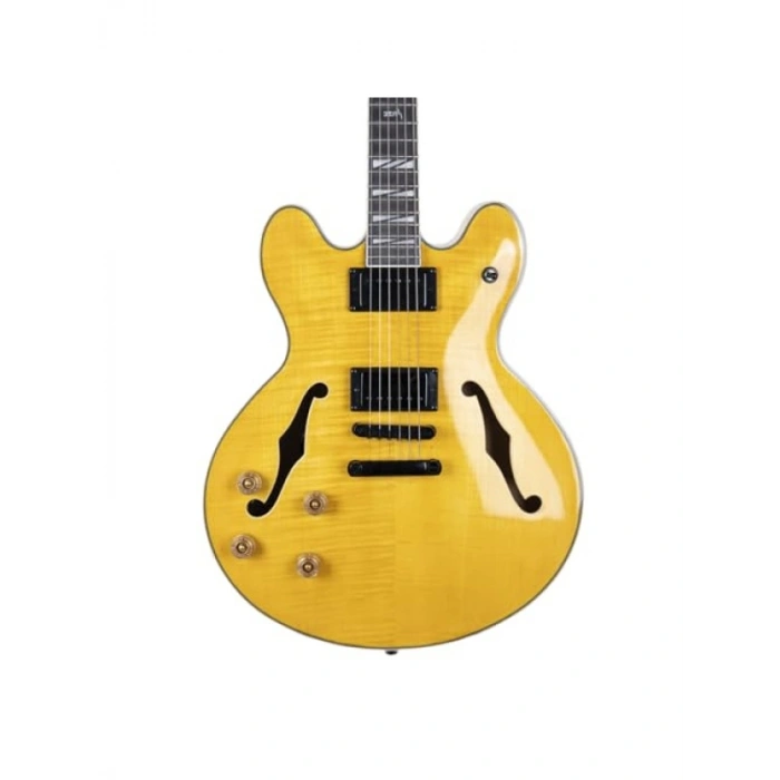 Elektro Gitar - Yüksek Ses Kalitesi