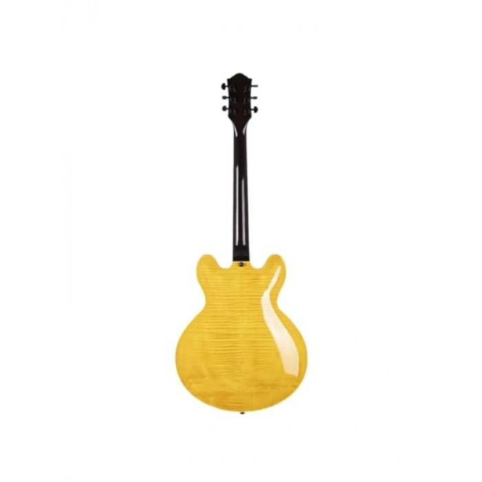Elektro Gitar - Yüksek Ses Kalitesi