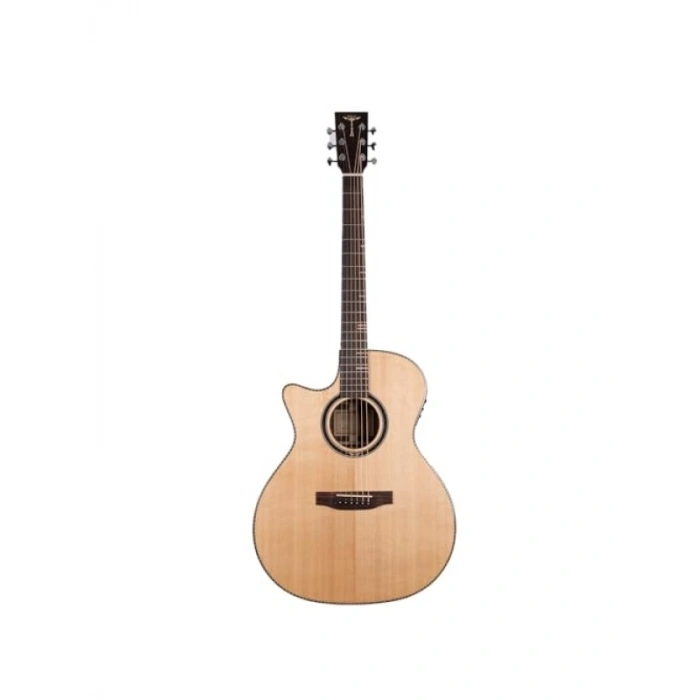 Elektronik Akustik Gitar, Yüksek Ses Kalitesi ile