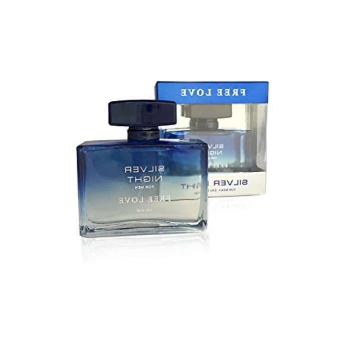 Erkek Parfümü, Silver Night EDP, 100 ml