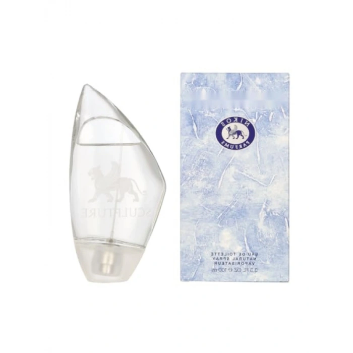 Erkekler için Kalıcı Etkili EDT Parfüm - 100 ml