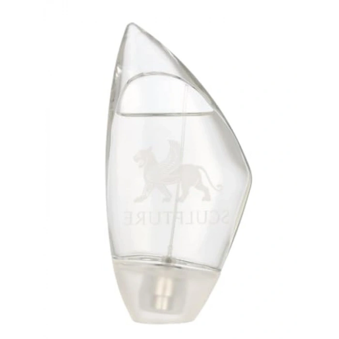 Erkekler için Kalıcı Etkili EDT Parfüm - 100 ml