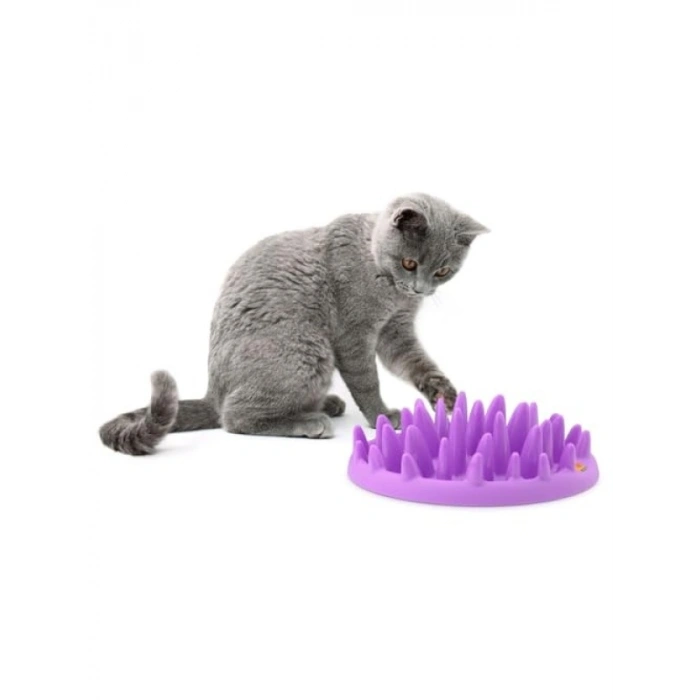 Etkileşimli Yavaş Kedi Besleyici