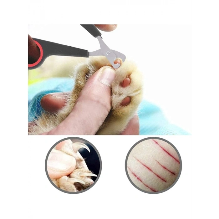 Evcil Hayvan Tırnak Makası - Paslanmaz Çelik, Ergonomik Tasarım