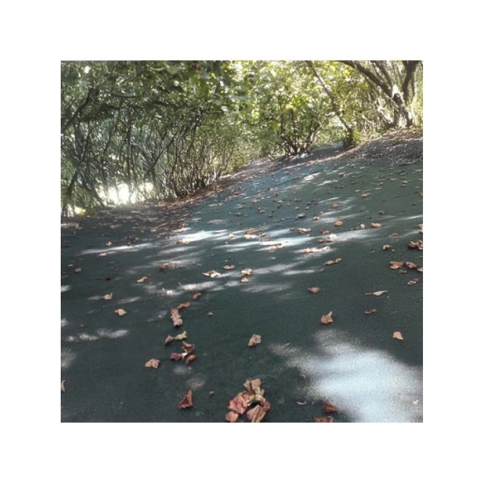 Fındık Toplama Filesi - Düz Yeşil, Dayanıklı Malzeme, 4 M x 1 M