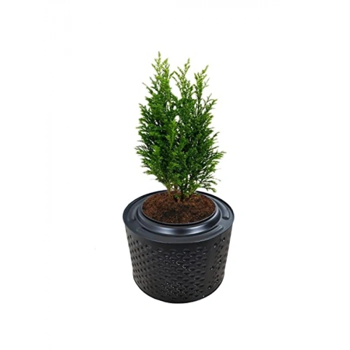Fırınlanmış Metal Büyük Saksı - 33-38 cm Yükseklik, 45-55 cm Çap