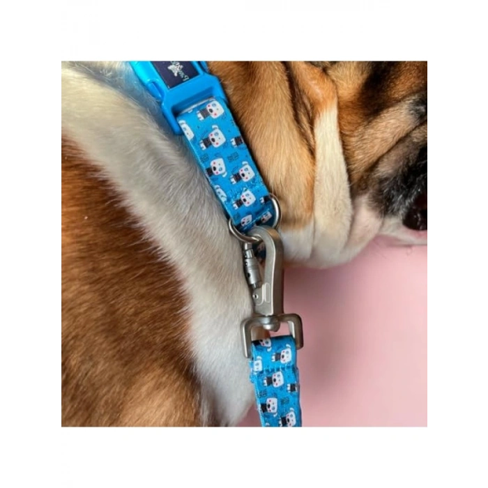 Geri Dönüştürülmüş Malzemeden Üretilen Küçük Köpek Boyun Tasması