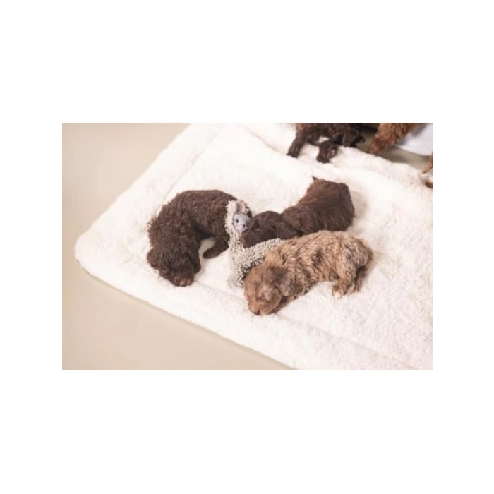 Gri Peluş Yavru Köpek Oyuncağı, 37x28x4 cm